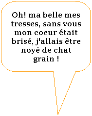 Rectangle  coins arrondis: Oh! ma belle mes tresses, sans vous mon coeur tait bris, j'allais tre noy de chat grain !
