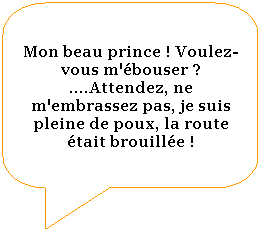Rectangle  coins arrondis: Mon beau prince ! Voulez-vous m'bouser ? ....Attendez, ne m'embrassez pas, je suis pleine de poux, la route tait brouille !
