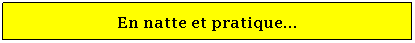 Zone de Texte: En natte et pratique...
