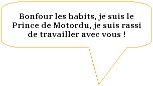 Rectangle  coins arrondis: Bonfour les habits, je suis le Prince de Motordu, je suis rassi de travailler avec vous !

