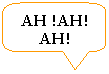 Rectangle  coins arrondis: AH !AH!AH!
