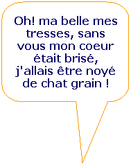 Rectangle  coins arrondis: Oh! ma belle mes tresses, sans vous mon coeur tait bris, j'allais tre noy de chat grain !
