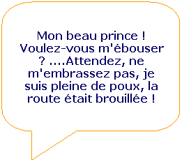 Rectangle  coins arrondis: Mon beau prince ! Voulez-vous m'bouser ? ....Attendez, ne m'embrassez pas, je suis pleine de poux, la route tait brouille !
