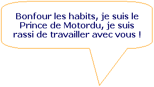 Rectangle  coins arrondis: Bonfour les habits, je suis le Prince de Motordu, je suis rassi de travailler avec vous !

